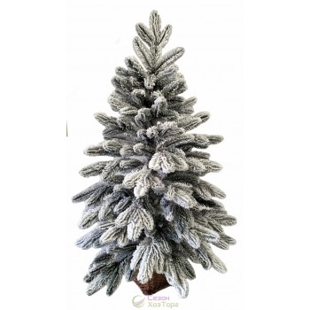 Ялина лита засніжена 0,9 м у горщику з лози